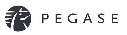 Pegs Luxury Travel